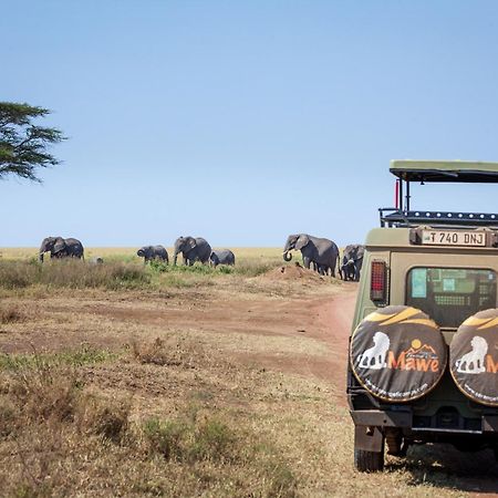 سيرينغيتي Mawe Tented Camp المظهر الخارجي الصورة