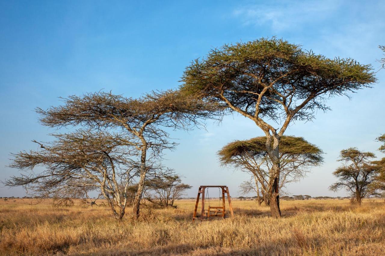 سيرينغيتي Mawe Tented Camp المظهر الخارجي الصورة