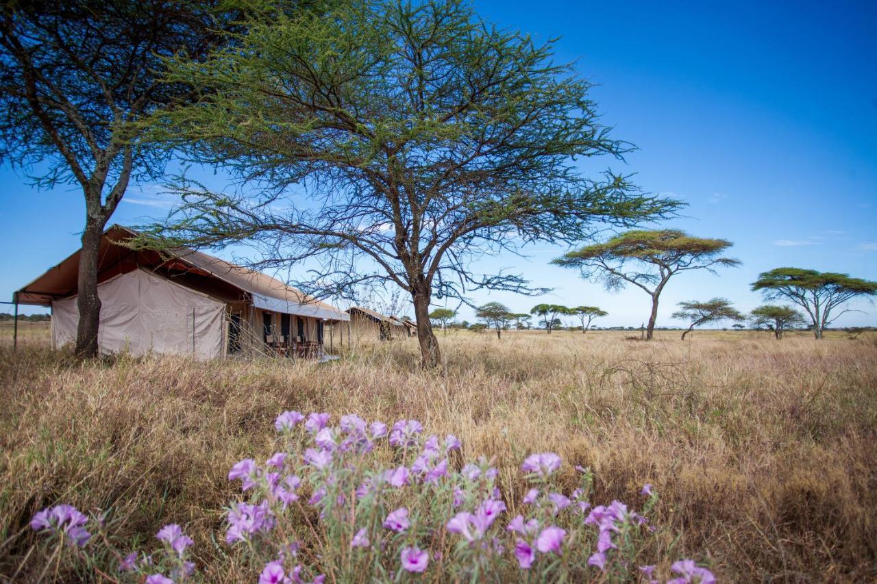 سيرينغيتي Mawe Tented Camp المظهر الخارجي الصورة