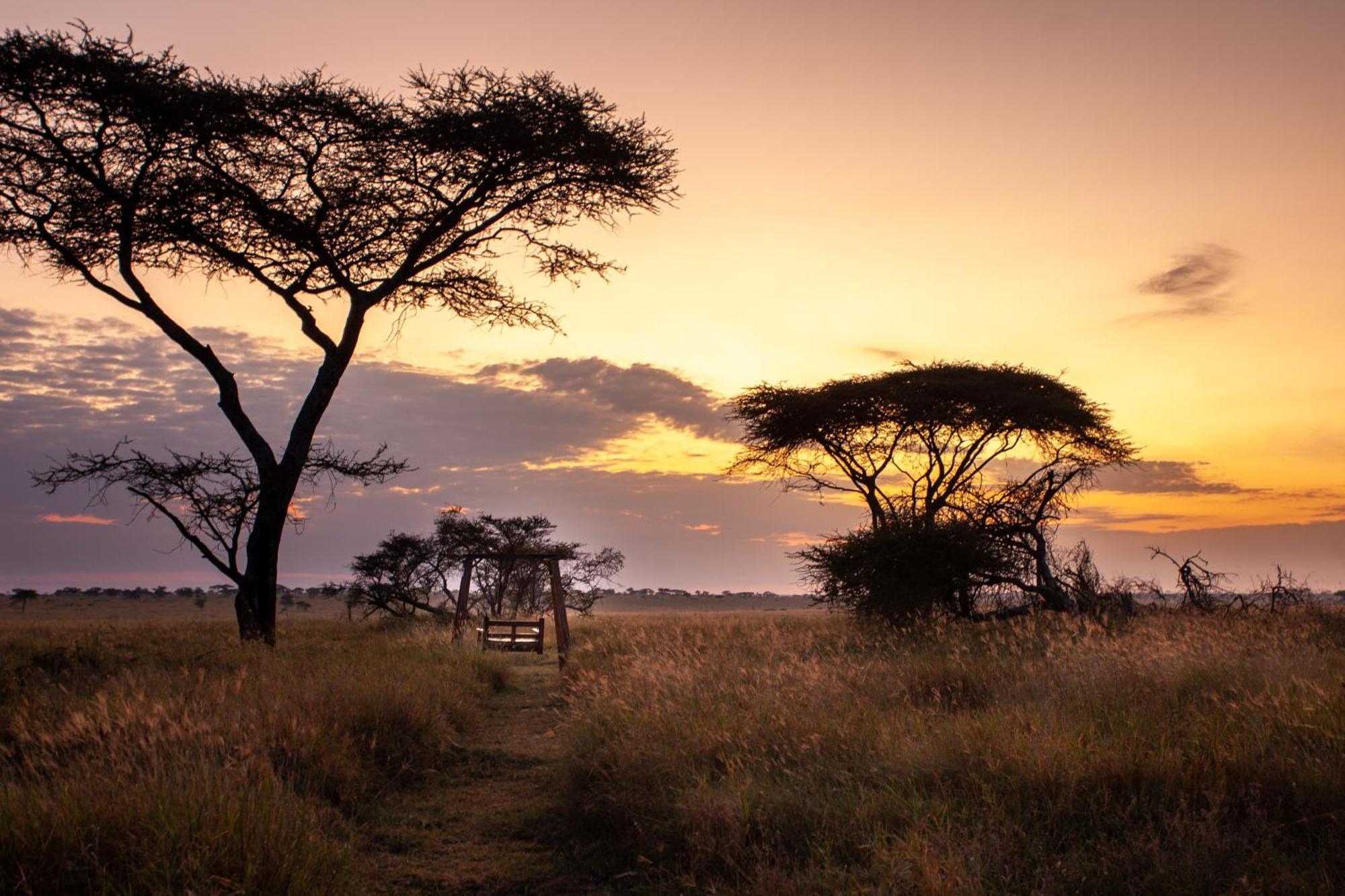 سيرينغيتي Mawe Tented Camp المظهر الخارجي الصورة